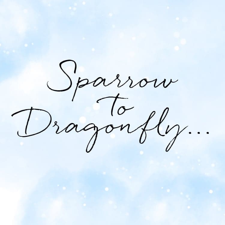 Sparrow To Dragonfly...